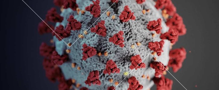 Harnessing data to combat the pandemic
