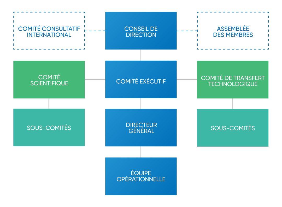 Image d'Ivado
