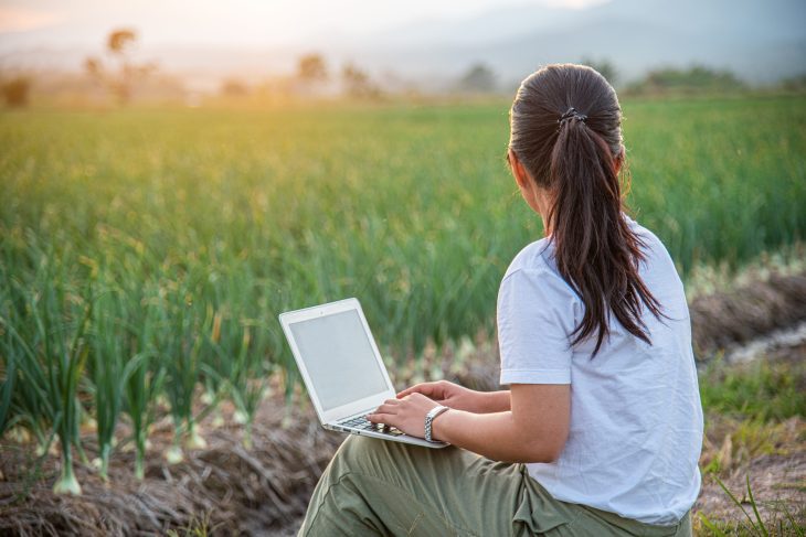 L’agroalimentaire du futur : IA, agriculture durable et innovation en recherche